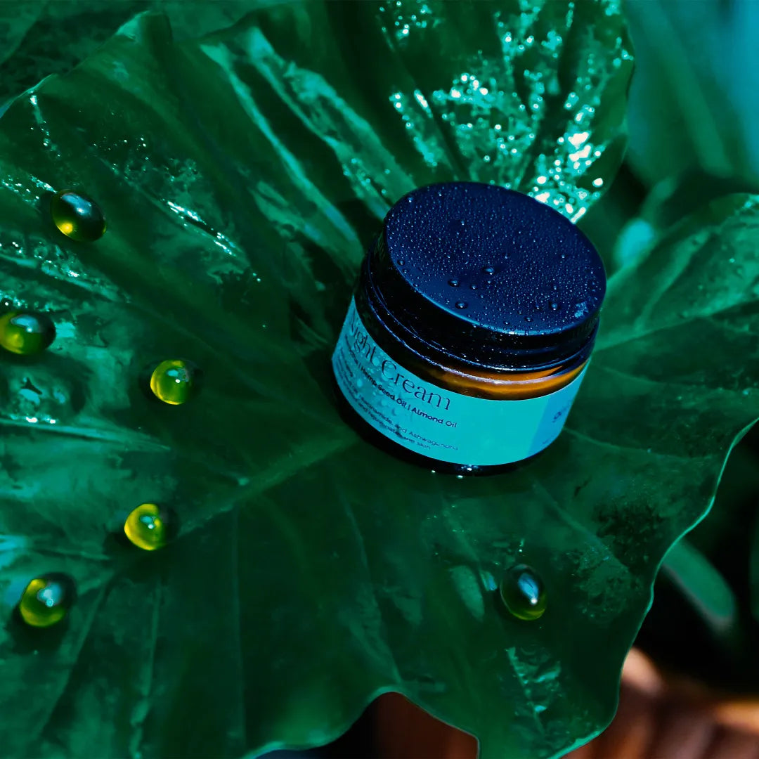 Ayurvedic Rejuvenating Night Cream with Hemp Seed Oil & Aloe Vera